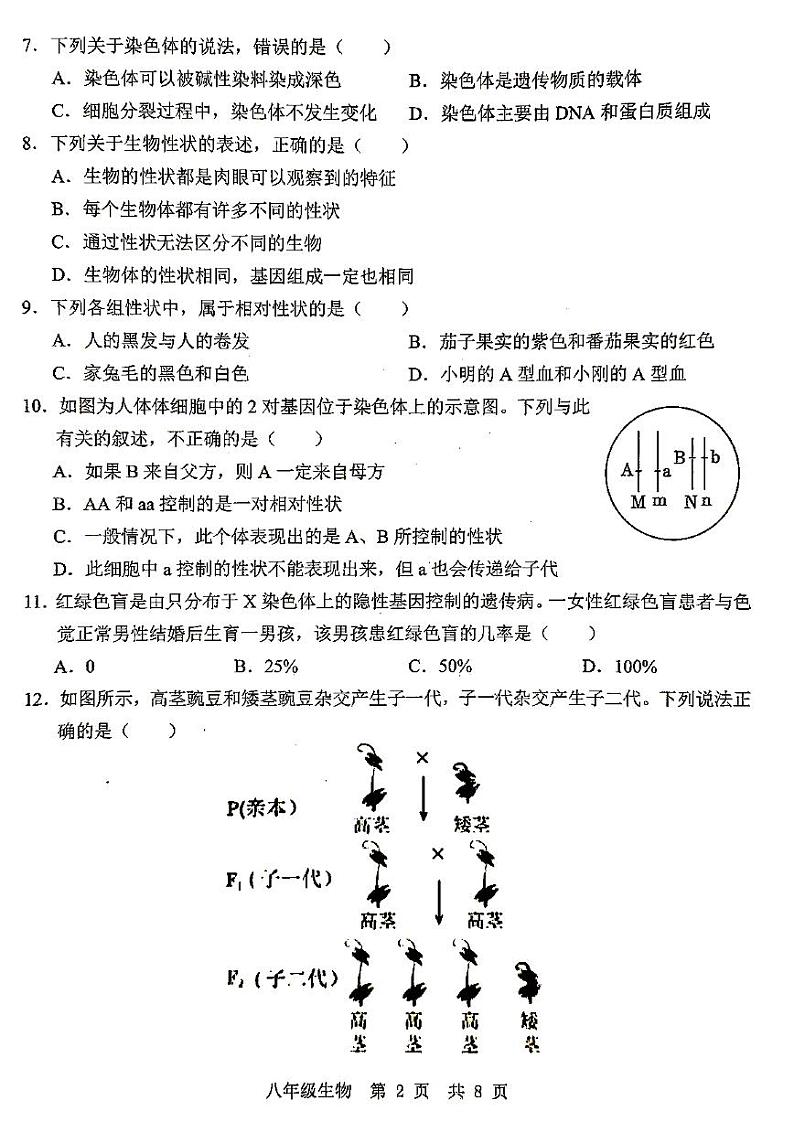 山东省济宁市金乡县2024-2025学年八年级上学期12月月考生物试题第2页
