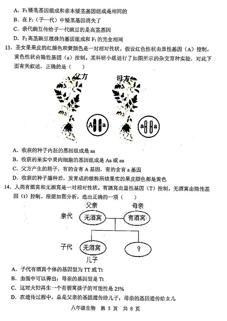 山东省济宁市金乡县2024-2025学年八年级上学期12月月考生物试题第3页