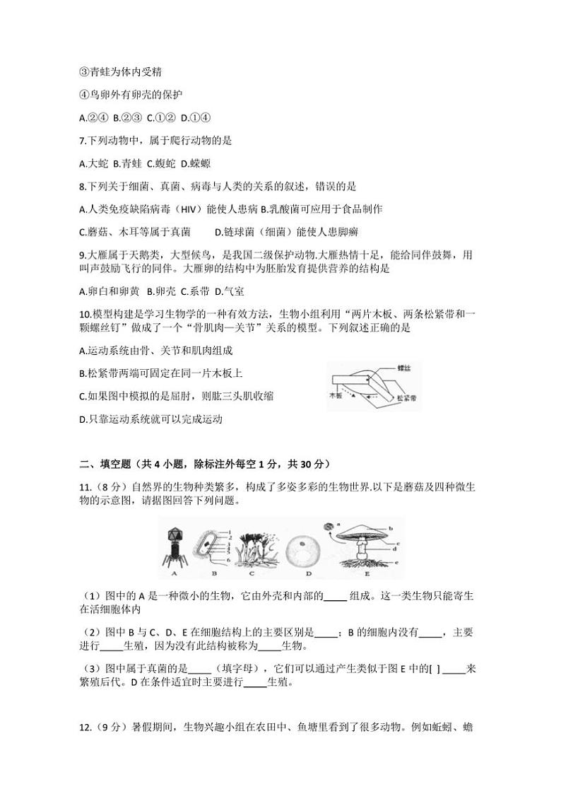 2024～2025学年湖北省黄冈市八年级(上)12月第二次测评生物试卷(含答案)第2页