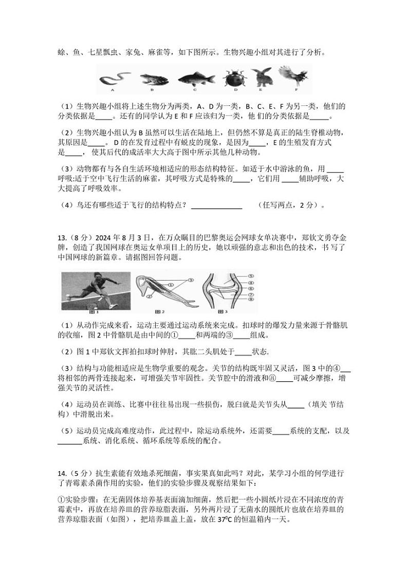 2024～2025学年湖北省黄冈市八年级(上)12月第二次测评生物试卷(含答案)第3页