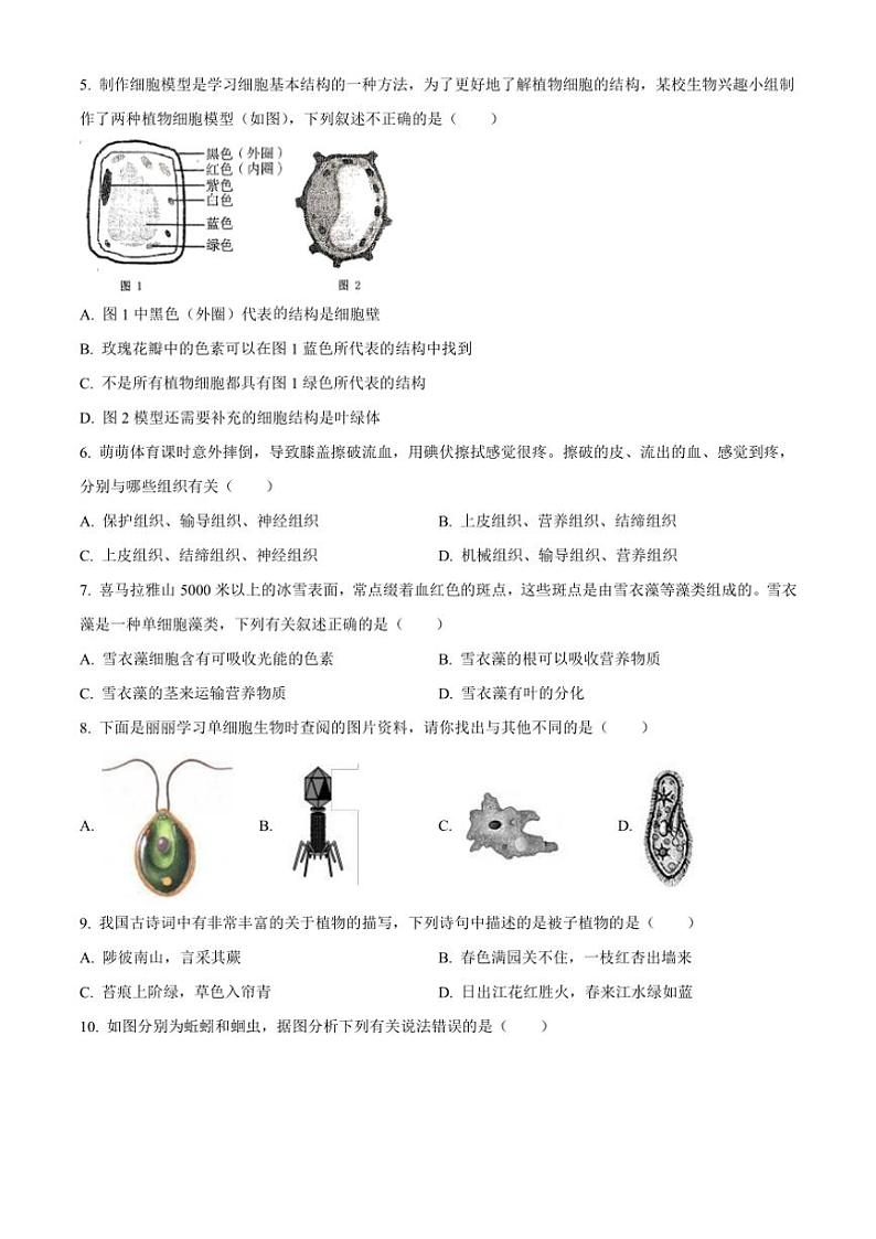2024～2025学年吉林省长春市新解放学校七年级(上)第三次月考生物试卷(含答案)第2页
