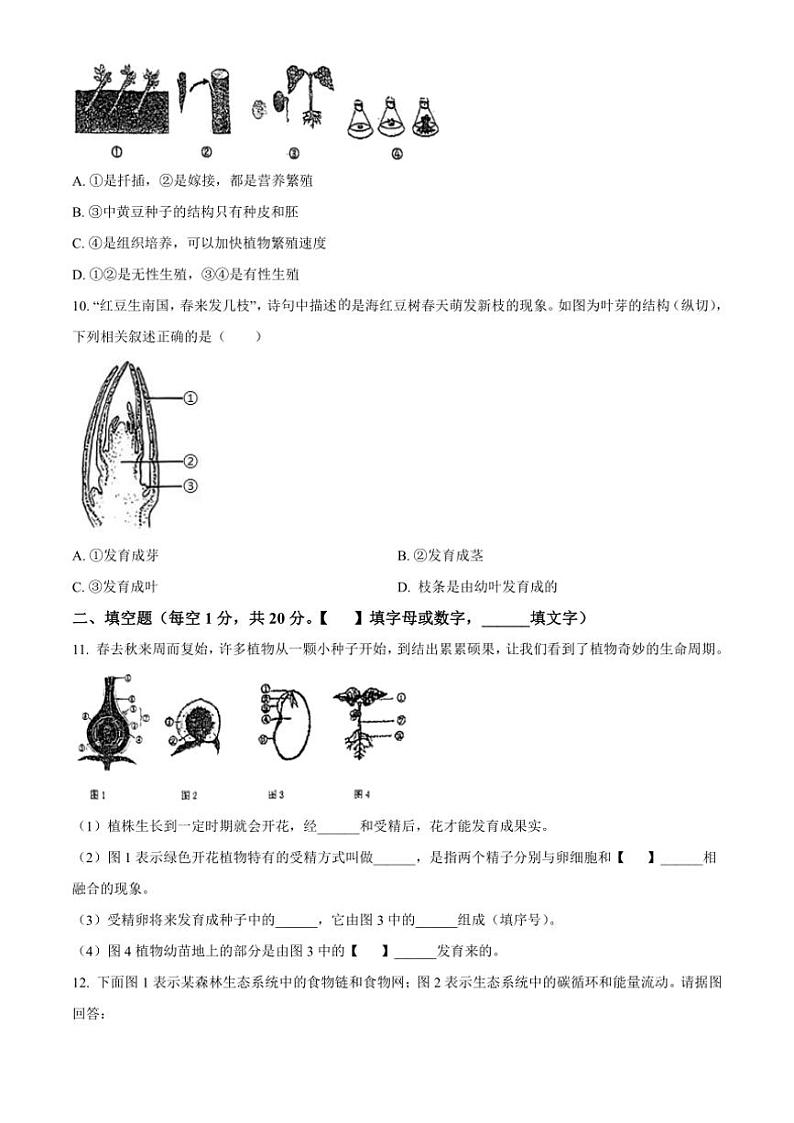2024～2025学年江苏省徐州市东苑中学八年级(上)12月月考生物试卷(含答案)第3页
