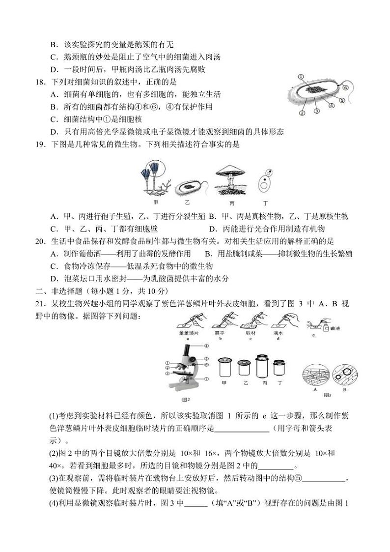 2024～2025学年江苏省盐城市建湖县实验初中教育集团七年级(上)12月月考生物试卷(含答案)第3页
