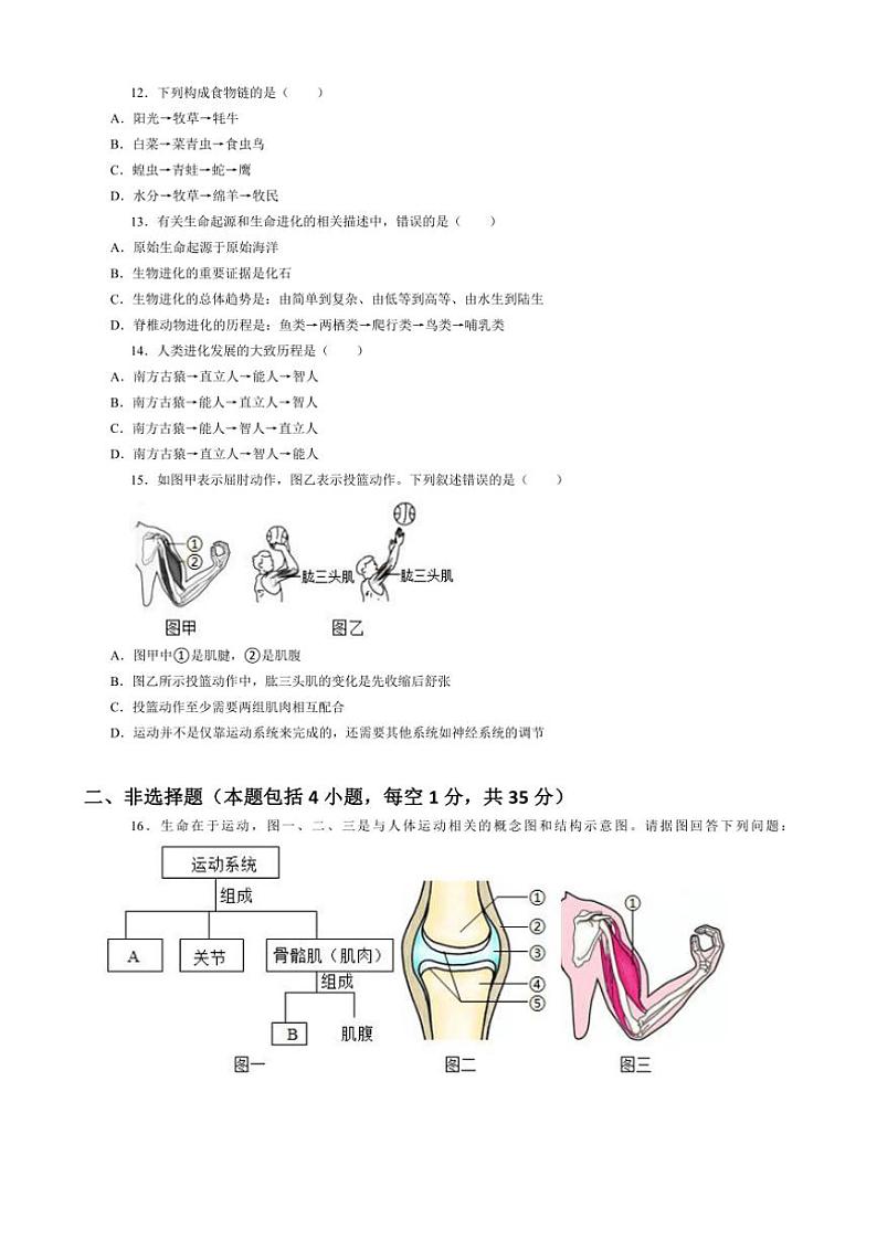 2024～2025学年辽宁省鞍山市台安县八年级(上)12月月考生物试卷(含答案)第2页