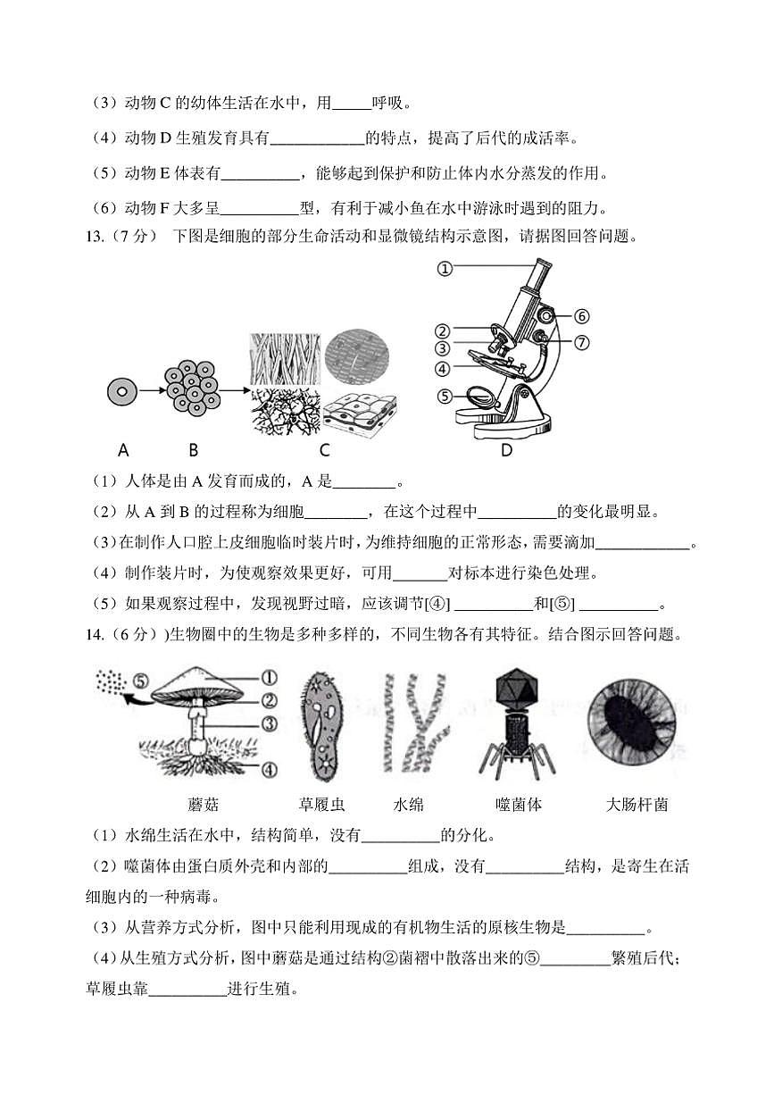 2024～2025学年辽宁省辽阳市第一中学七年级(上)12月月考生物试卷(含答案)第3页
