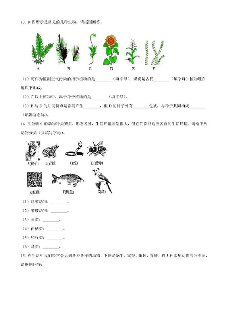 2024～2025学年辽宁省沈阳市第七中学八年级(上)期中生物试卷(含答案)第3页