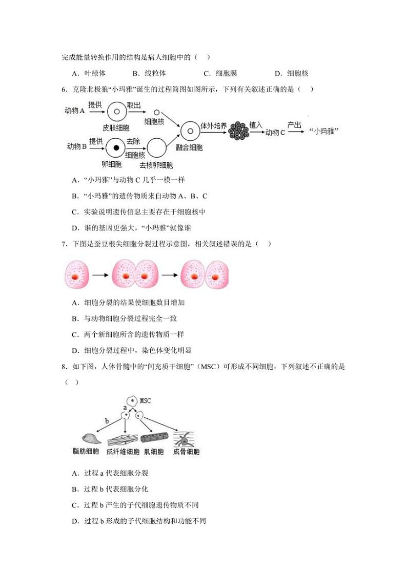 2024～2025学年四川省乐山市七年级(上)期末测试生物模拟试卷(含答案)第2页
