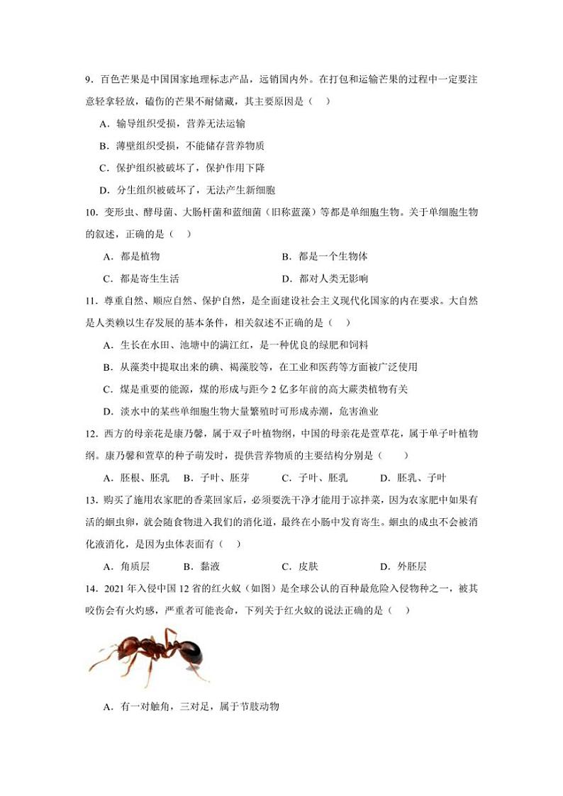 2024～2025学年四川省乐山市七年级(上)期末测试生物模拟试卷(含答案)第3页