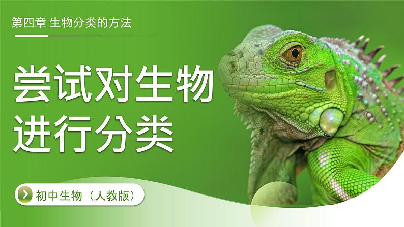 七年级上册生物人教版（2024）第四章第一节 尝试对生物进行分类 课件第1页