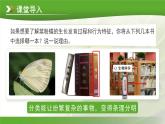 七年级上册生物人教版（2024）第四章第一节 尝试对生物进行分类 课件