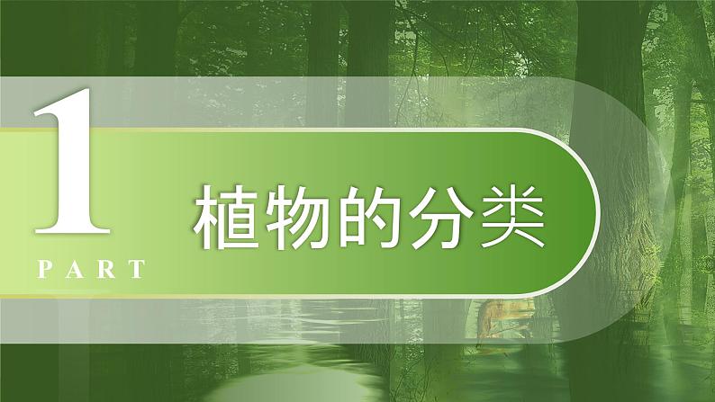 七年级上册生物人教版（2024）第四章第一节 尝试对生物进行分类 课件第5页