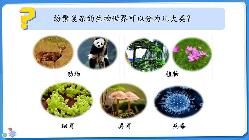 七年级上册生物人教版（2024）第一节 尝试对生物进行分类 课件第6页