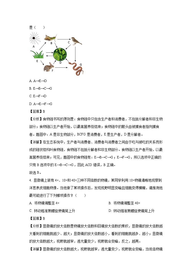 2023~2024学年河北省邯郸市邯郸冀南新区七年级上学期期末生物试卷(解析版)第2页