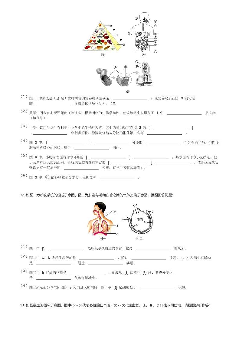 山东省枣庄市第五中学2023-2024学年七年级(下)第一次月考生物试卷(含解析)第3页