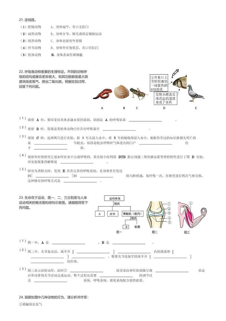 湖南省株洲市攸县片区联考2023-2024学年八年级(下)第一次月考生物试卷(含解析)第3页