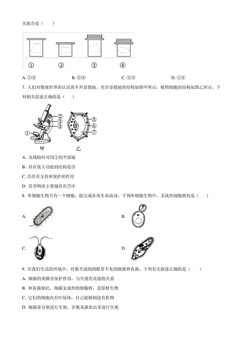 2024～2025学年河南省鹤壁市外国语中学七年级(上)12月月考生物试卷(含答案)第2页