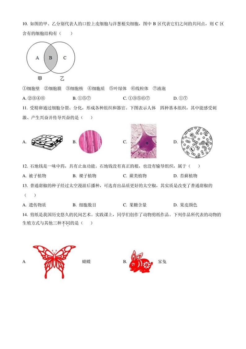2024～2025学年河南省鹤壁市外国语中学七年级(上)12月月考生物试卷(含答案)第3页