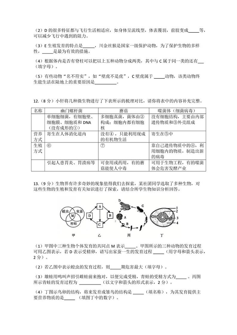 2024～2025学年湖北省孝感市孝昌县协作体八年级(上)12月月考生物试卷(含答案)第3页