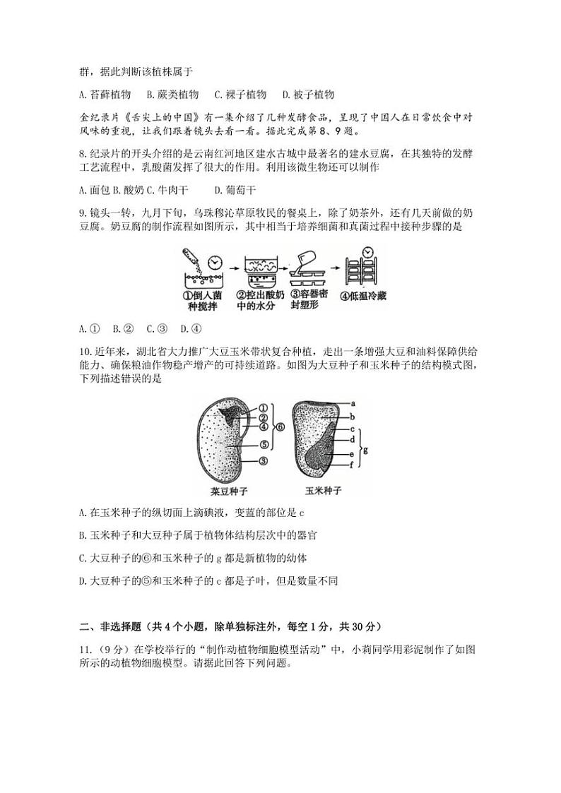 2024～2025学年湖北省孝感市孝昌县协作体七年级(上)12月月考生物试卷(含答案)第2页