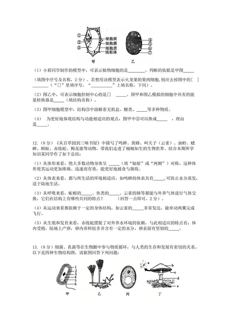 2024～2025学年湖北省孝感市孝昌县协作体七年级(上)12月月考生物试卷(含答案)第3页