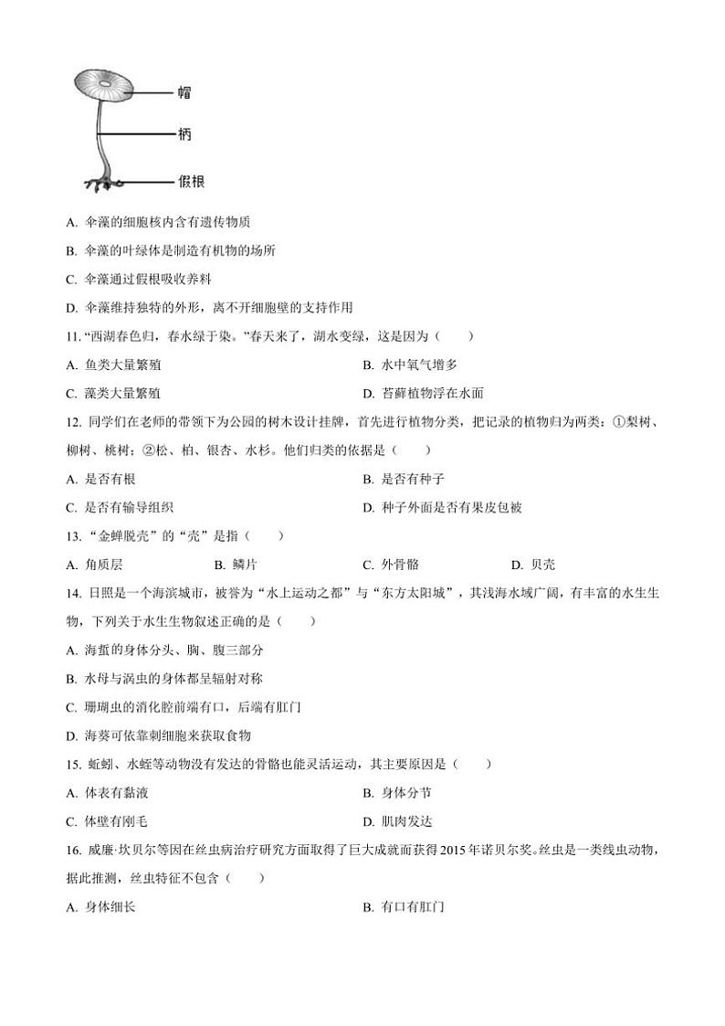 2024～2025学年吉林省白城市学校七年级(上)第三次月考生物试卷(含答案)第3页