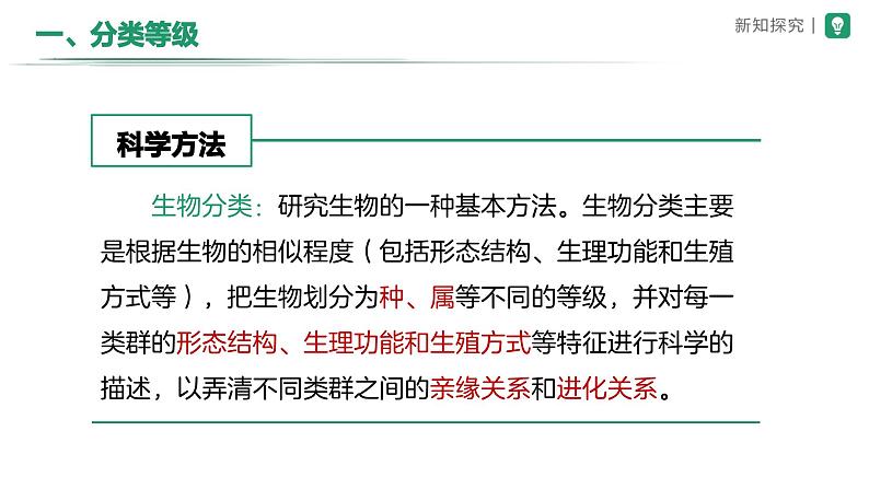 七年级上册生物学人教版（2024）第二节 从种到界 课件第4页