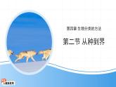 七年级上册生物学人教版（2024）第二节 从种到界 课件