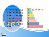七年级上册生物学人教版（2024）第二节 从种到界 课件