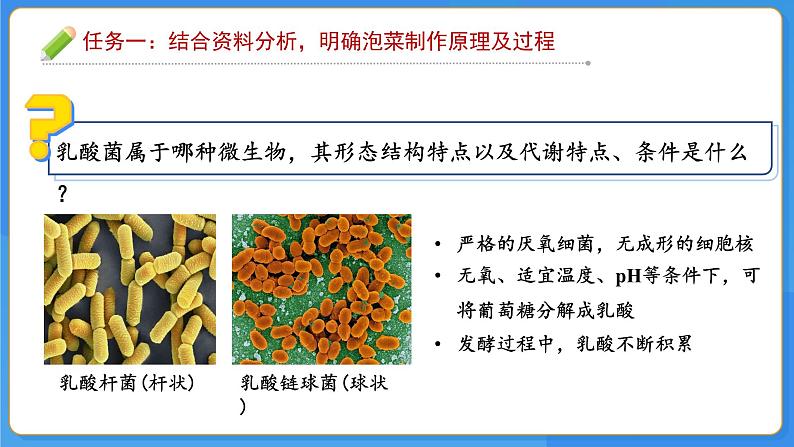 七年级上册生物人教版（2024）综合实践项目 利用细菌或真菌制作发酵食品 课件第6页