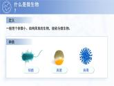 七年级上册生物学人教版（2024）第三章第一节 微生物的分布 课件