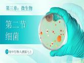 七年级上册生物学人教版（2024）第三章第二节 细菌  课件
