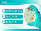 七年级上册生物学人教版（2024）第三章第二节 细菌  课件