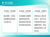 七年级上册生物学人教版（2024）第三章第二节 细菌  课件