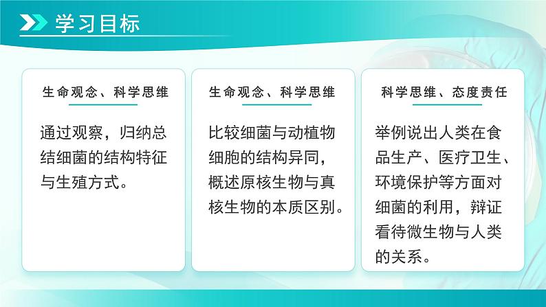 七年级上册生物学人教版（2024）第三章第二节 细菌  课件第3页