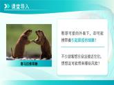七年级上册生物学人教版（2024）第三章第二节 细菌  课件