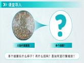 七年级上册生物学人教版（2024）第三章第二节 细菌  课件