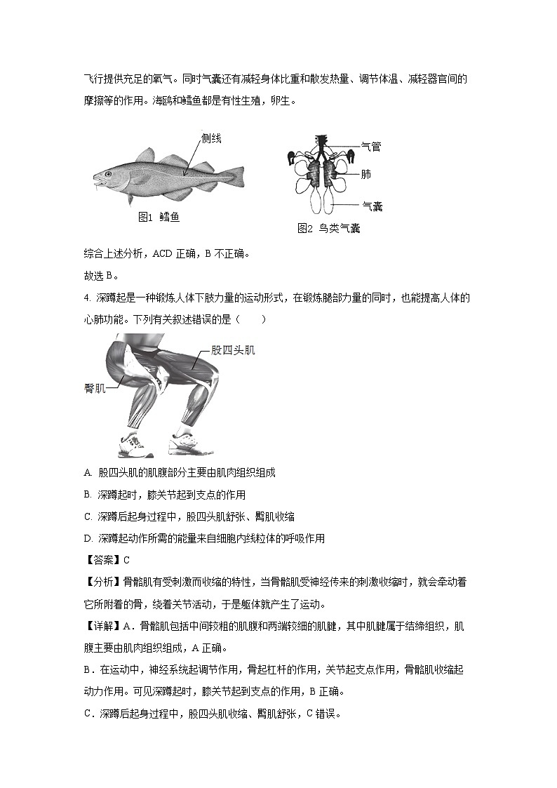 山东省东营市广饶县2023-2024学年八年级上学期期末生物试卷（解析版）第3页