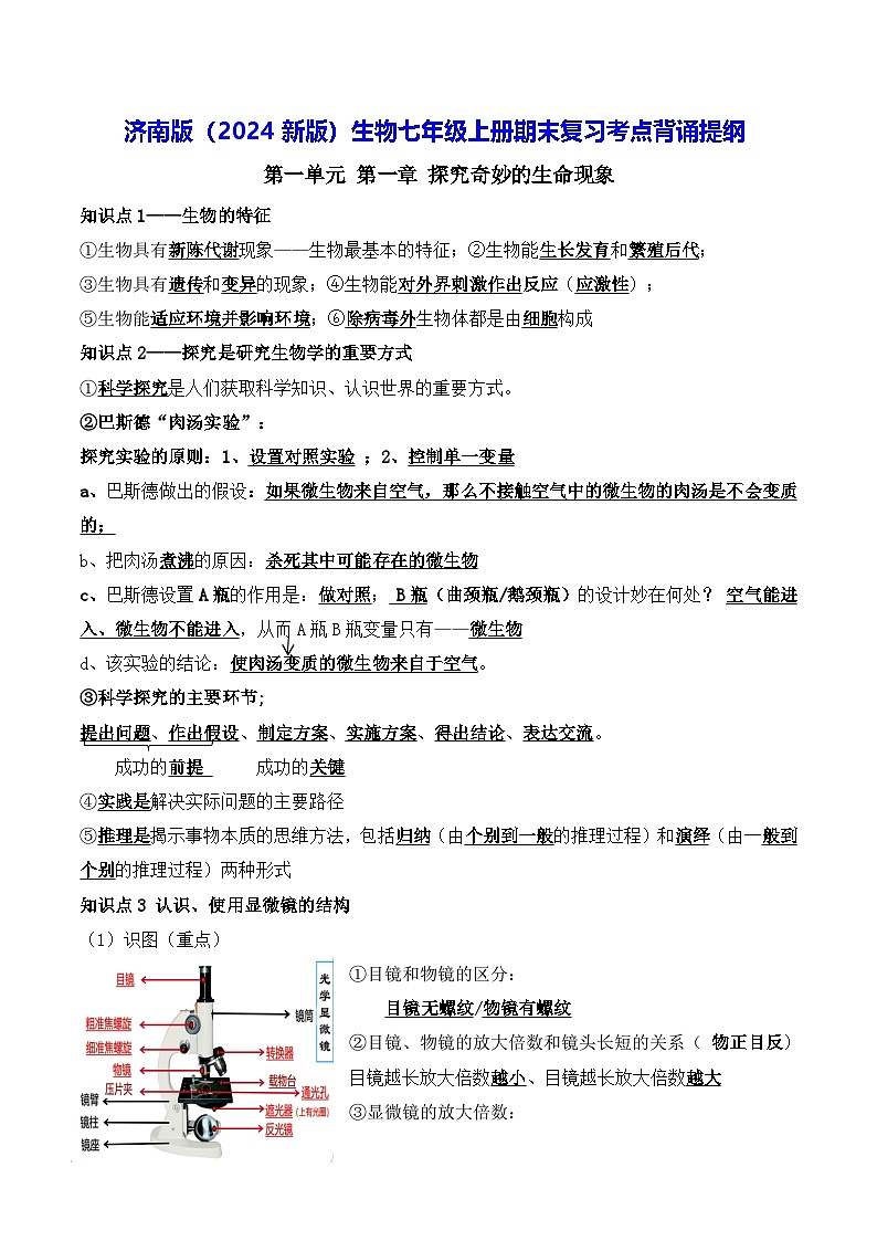济南版（2024新版）生物七年级上册期末复习考点背诵提纲 学案第1页