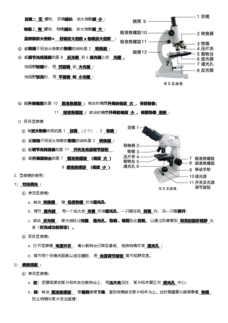 人教版（2024新版）生物七年级上册期末复习提纲 学案第2页