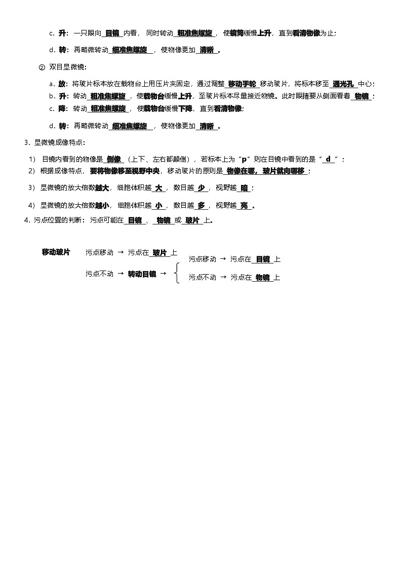 人教版（2024新版）生物七年级上册期末复习提纲 学案第3页