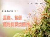 初中  生物  人教版（2024）  七年级上册第一节 藻类、 苔藓和蕨类 课件