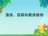 初中  生物  人教版（2024）  七年级上册第一节 藻类、 苔藓和蕨类 课件