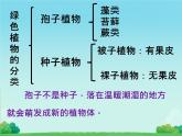 初中  生物  人教版（2024）  七年级上册第一节 藻类、 苔藓和蕨类 课件
