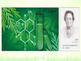 初中  生物  人教版（2024）  七年级上册第一节 藻类、 苔藓和蕨类 课件