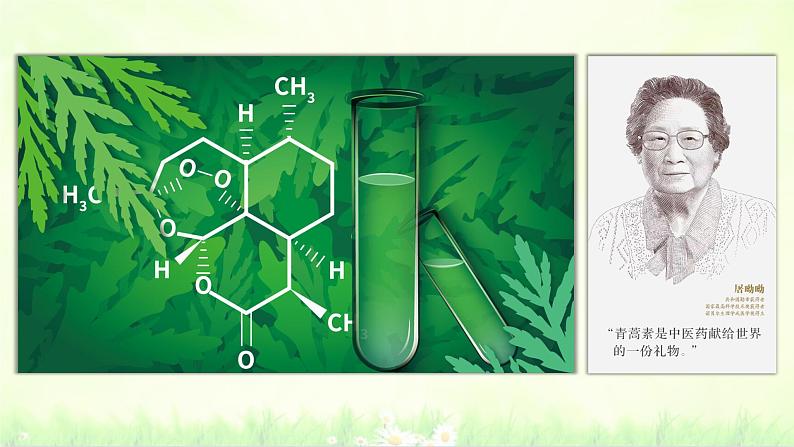 初中  生物  人教版（2024）  七年级上册第一节 藻类、 苔藓和蕨类 课件第2页