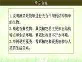 初中  生物  人教版（2024）  七年级上册第一节 藻类、 苔藓和蕨类 课件