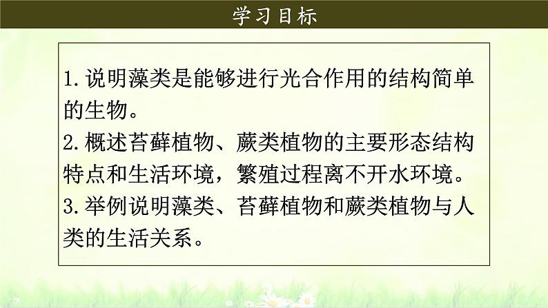 初中  生物  人教版（2024）  七年级上册第一节 藻类、 苔藓和蕨类 课件第3页