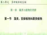 初中  生物  人教版（2024）  七年级上册第一节 藻类、 苔藓和蕨类 课件