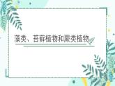 初中  生物  人教版（2024）  七年级上册第一节 藻类、 苔藓和蕨类 课件