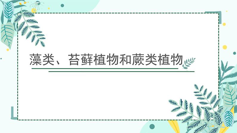 初中  生物  人教版（2024）  七年级上册第一节 藻类、 苔藓和蕨类 课件第1页